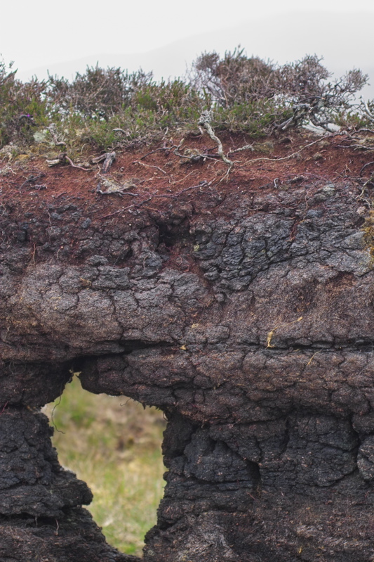 &Uuml;ber- u. Durchblick